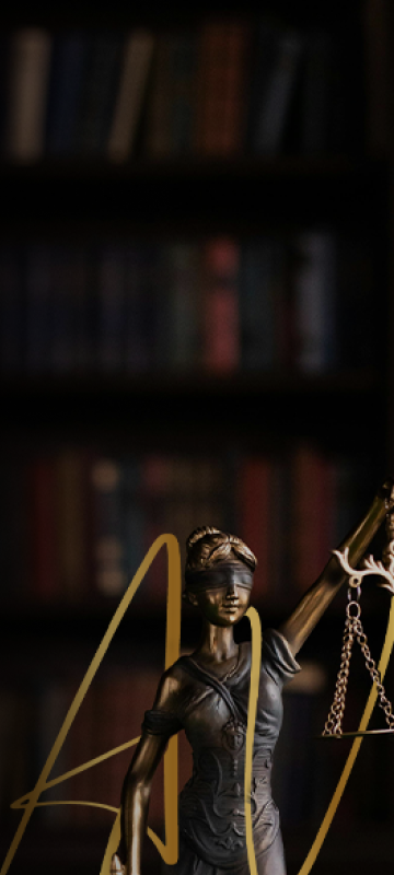 Advogada Especialista em Direito Previdenciário